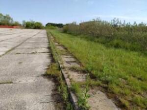 immobile terreno all'asta in loc Gramignara, Via Don Giuseppe, snc - 45010 Rosolina (RO) - 2