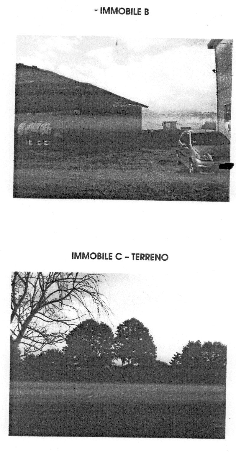 immobile attivita commerciale all'asta in Via Casilina numero 33, localitĂ Colle della Noce Segni (RM) - 1
