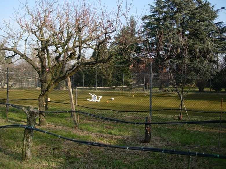 immobile villa all'asta in Via Vignolese n 2665 - 41057 Spilamberto (MO) - 5