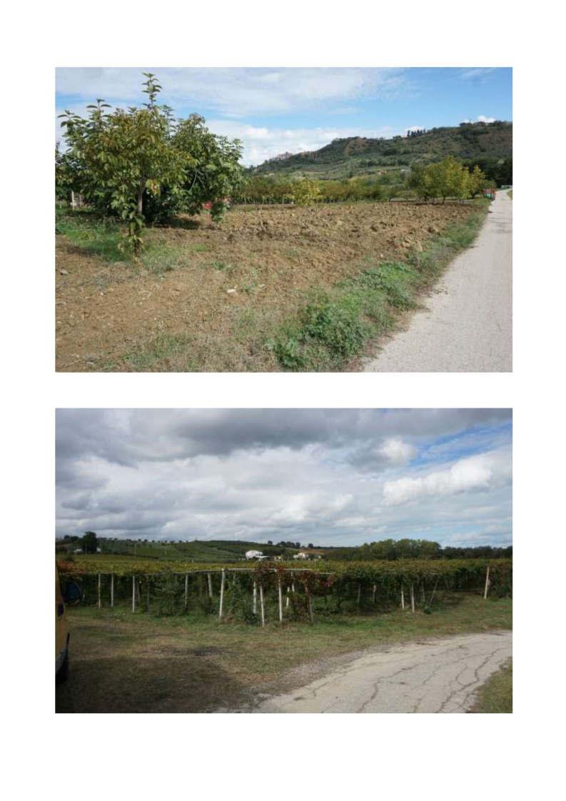 immobile appartamento all'asta in Contrada Morticcio e Passo Mulino 1 - 66020 Torino di Sangro (CH) - 2