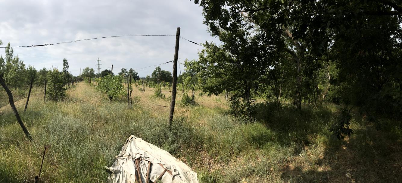 immobile compendio all'asta in via Carlo Jussi, 154 - località Pulce San Lazzaro di Savena (BO) - 2