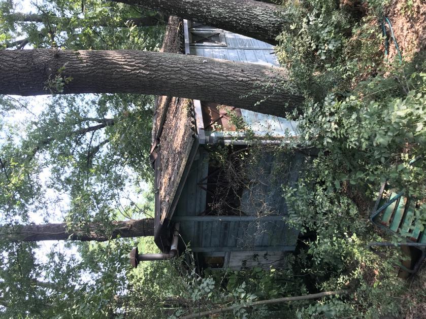 immobile compendio all'asta in via Carlo Jussi, 154 - località Pulce San Lazzaro di Savena (BO) - 4