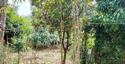 immobile rustico all'asta in Via Fontanelle, 60 - 03032 Arce (FR) - 4