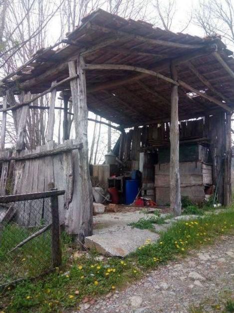immobile fabbricato all'asta in Localita' Tornarezza snc - 29024 Ferriere (PC) - 5
