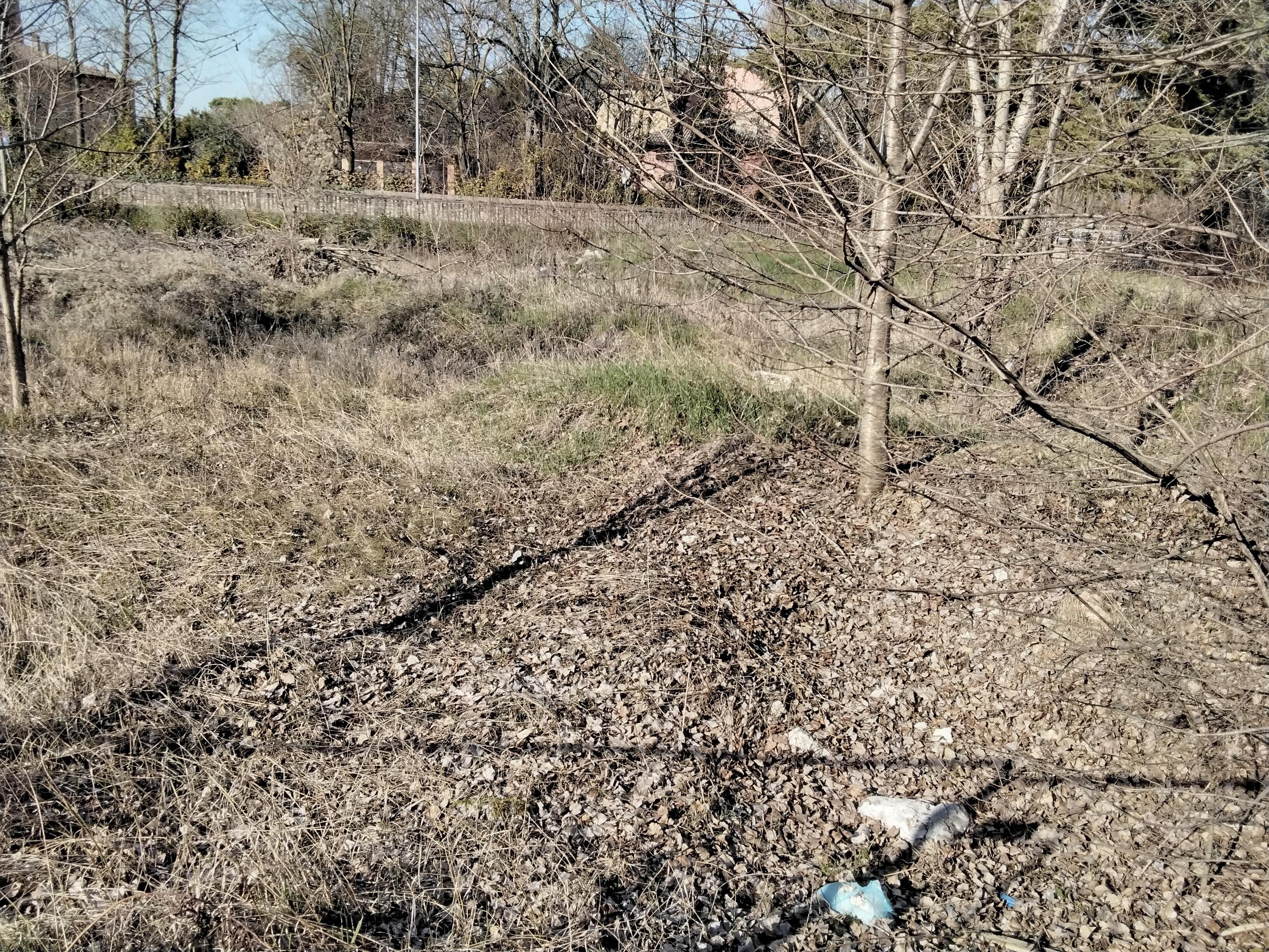 immobile terreno all'asta in Via Nilde Iotti - 42019 Scandiano (RE) - 3