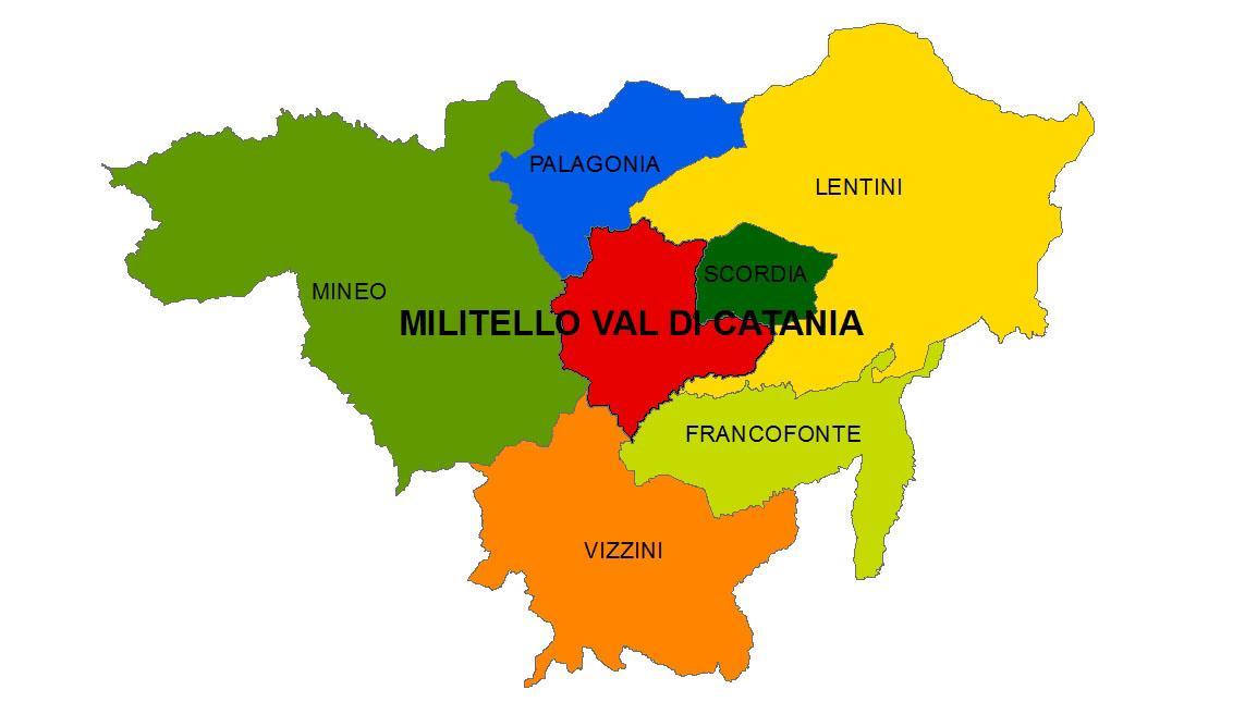 immobile appartamento all'asta in VIA ALESSANDRO MANZONI 11 - 95043 Militello in Val di Catania (CT) - 2