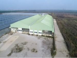 immobile attivita commerciale all'asta in Polesine Camerini (Valle Lustraura), via Isonzo, 45 - 45018 Porto Tolle (RO) - 1