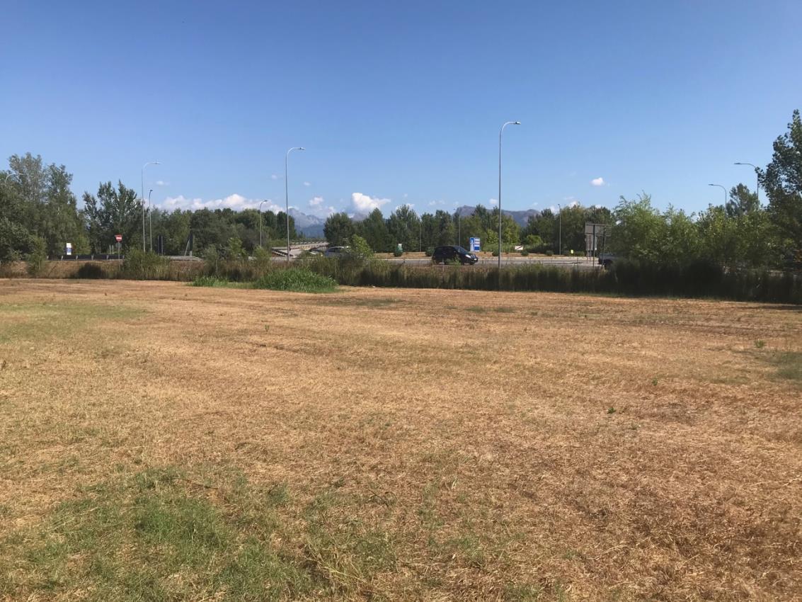 immobile terreno all'asta in Fraz Torre del Lago - 55049 Viareggio (LU) - 2