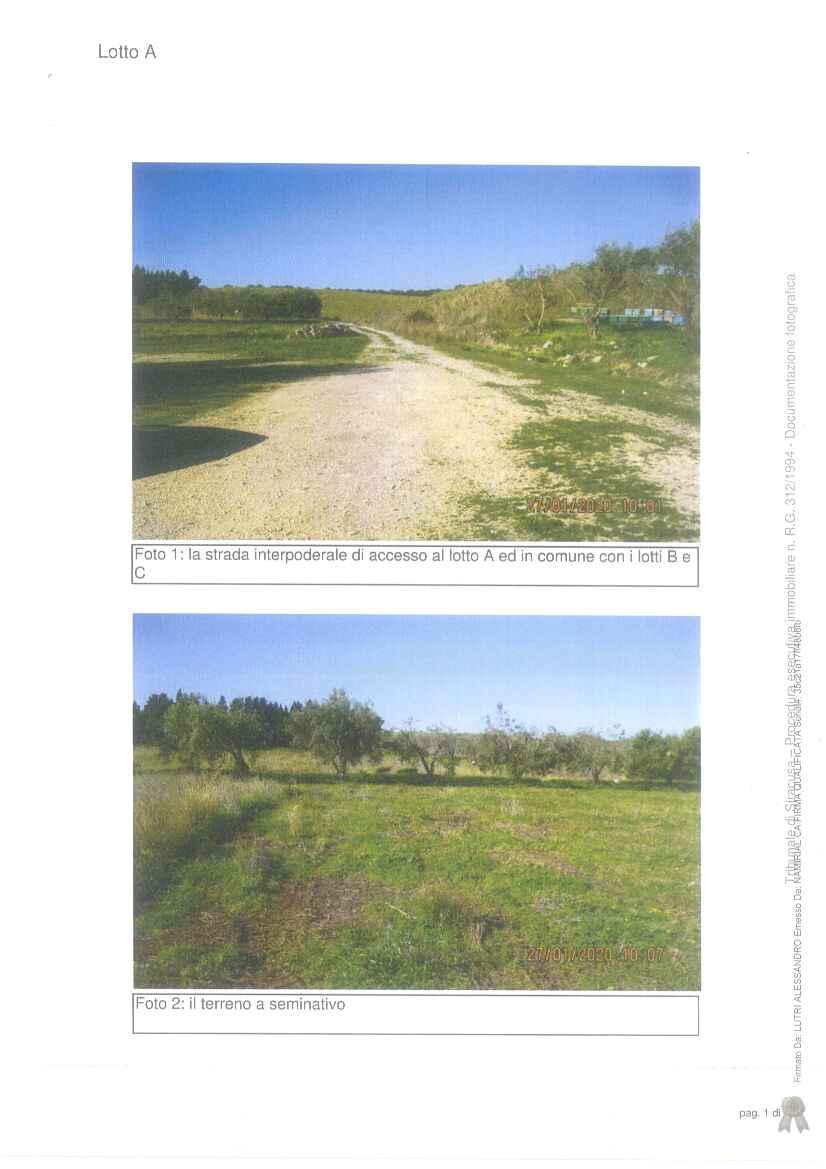 immobile terreno all'asta in CONTRADA SAN GIOVANNELLO E LONGO - ABATE - 96013 Carlentini (SR) - 1