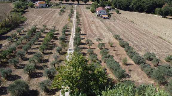 immobile appartamento all'asta in Strada di Morellino, 50 - 05035 Narni (TR) - 3