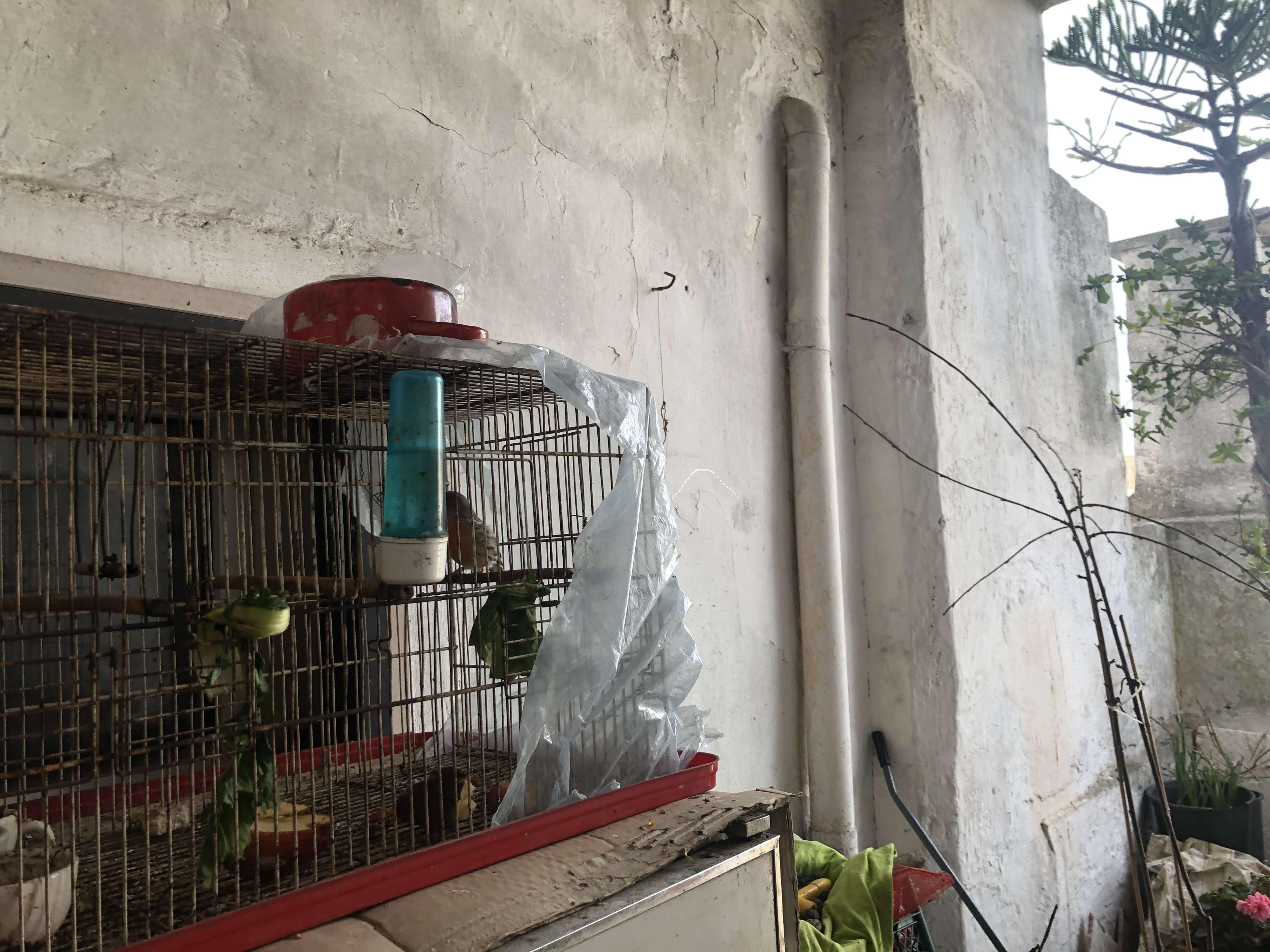 immobile appartamento all'asta in Via Borgo Antico 18 - 72023 Mesagne (BR) - 5