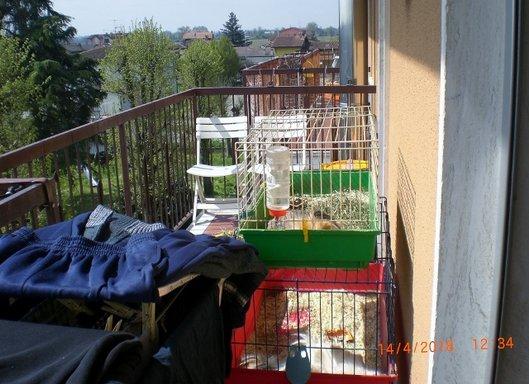 immobile appartamento all'asta in Via ROMA 27 - 26826 Secugnago (LO) - 1