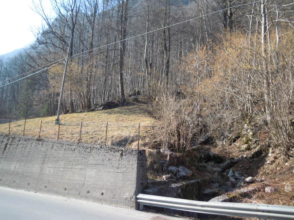 immobile terreno all'asta in località Mola Valbondione (BG) - 2