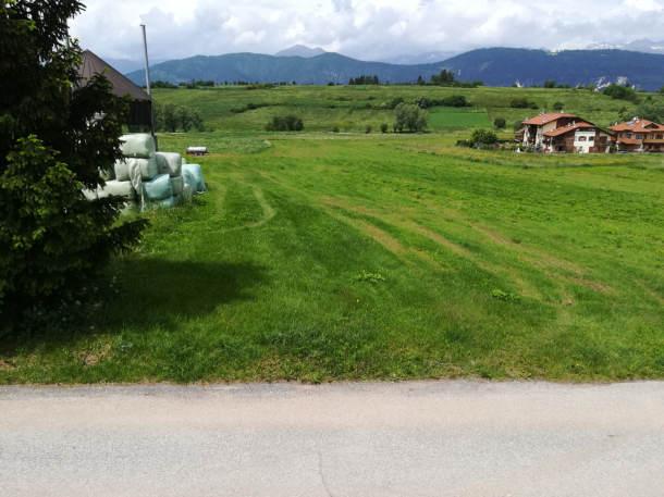 immobile terreno all'asta in tra gli abitati di Cavareno e Sarnonico - 38011 Sarnonico (TN) - 1