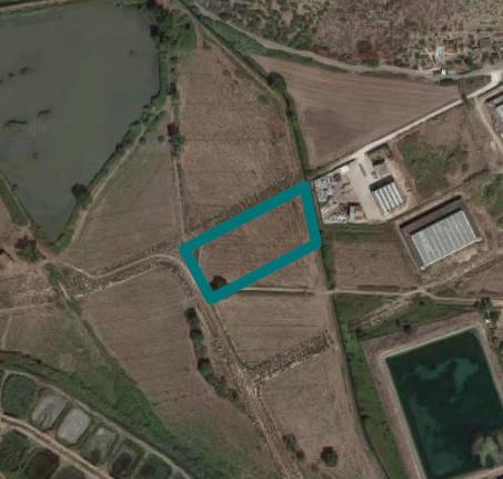 immobile terreno all'asta in Località Pantanello Fondi (LT) - 1