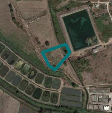 immobile terreno all'asta in LocalitĂ Pantanello Fondi (LT) - 1