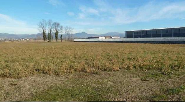 immobile terreno all'asta in Via Pontoglio, 21 - 24050 Palosco (BG) - 1