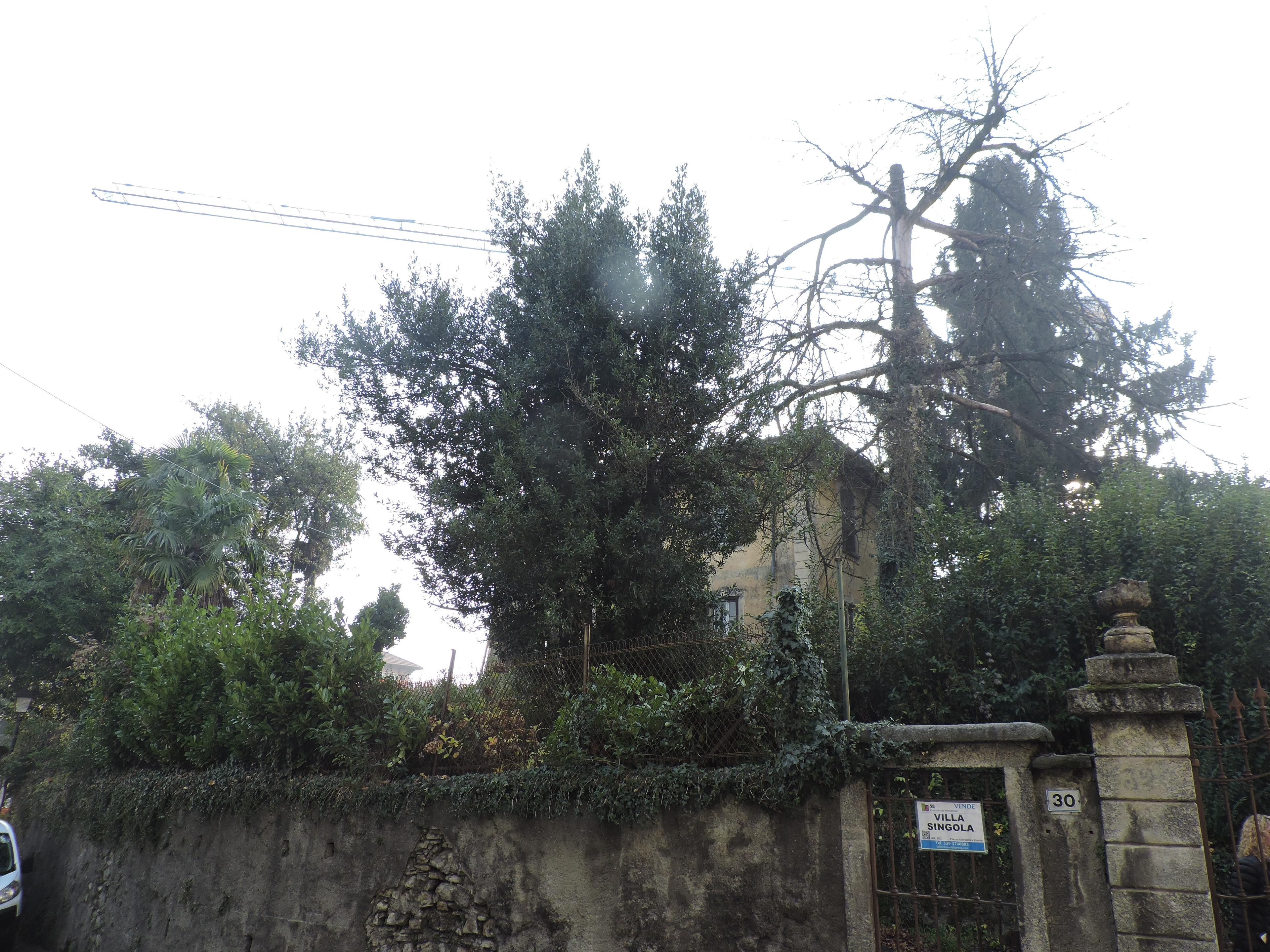 immobile villa all'asta in Via Giuseppe Garibaldi 30 - 23873 Missaglia (LC) - 4