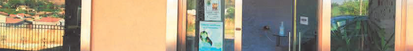 immobile attivita commerciale all'asta in Via G T di Lampedusa snc - 94015 Piazza Armerina (EN) - 4