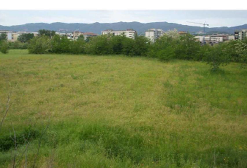 immobile terreno all'asta in Contrada Santa Rosa - 87036 Rende (CS) - 1
