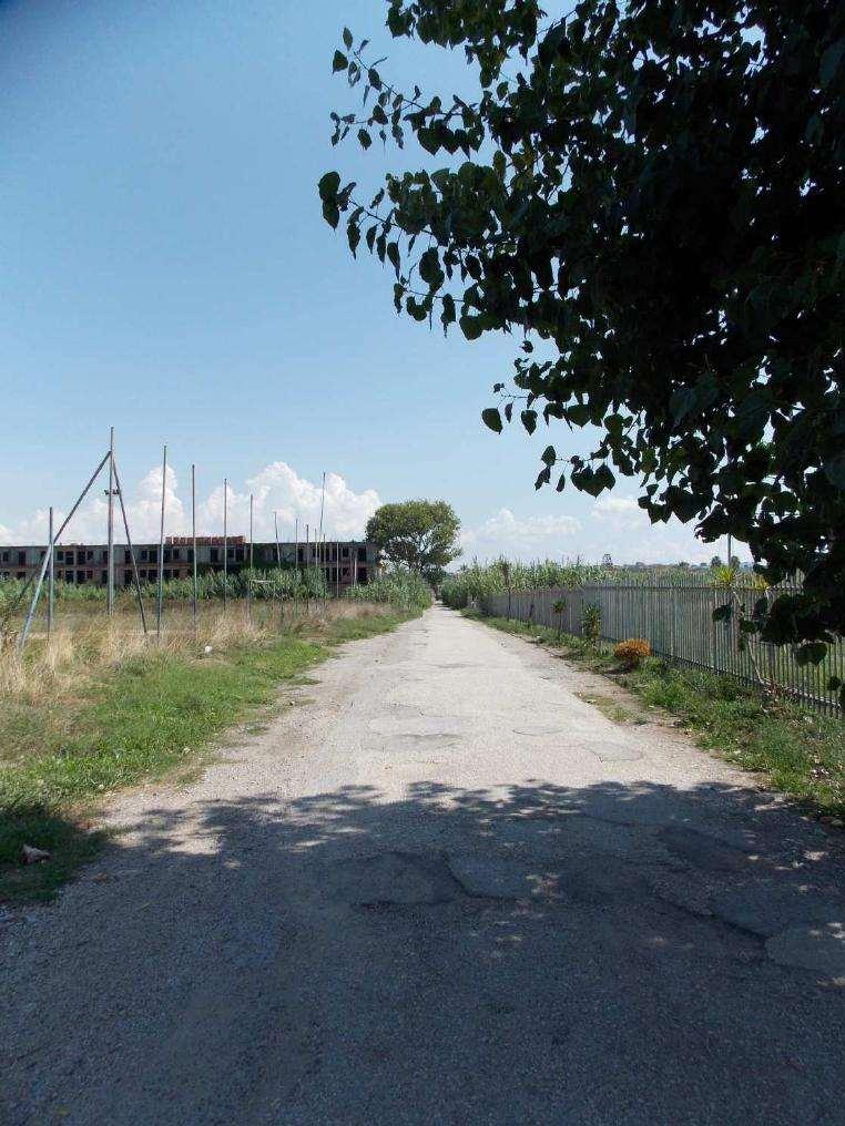immobile terreno all'asta in Via Domitiana Km48 - 80014 Giugliano in Campania (NA) - 3