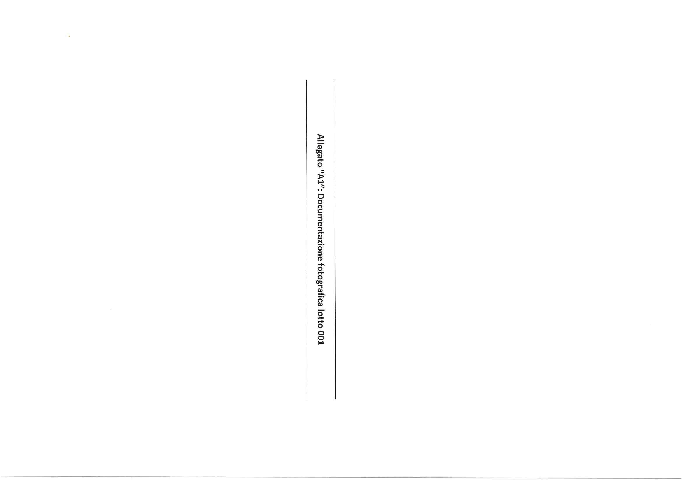 immobile appartamento all'asta in Localita' Cantone 4 - 17032 Vendone (SV) - 1