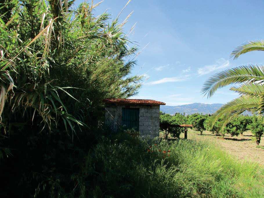 immobile terreno all'asta in Località Trigna - 88046 Lamezia Terme (CZ) - 5