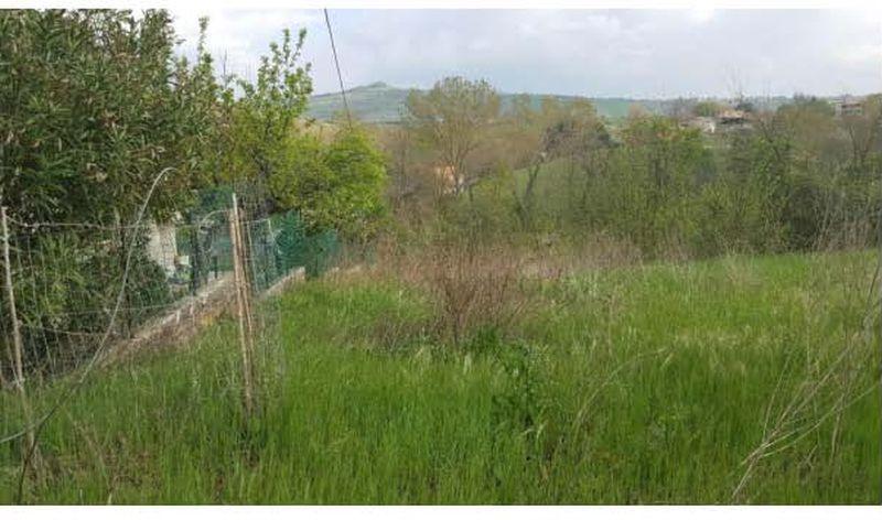 immobile terreno all'asta in Frazione Sant'Onofrio Campli (TE) - 4