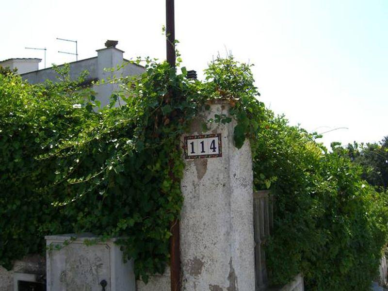 immobile appartamento all'asta in Località Lido dei Pini - Via del Biancospino, 114 Anzio (RM) - 2