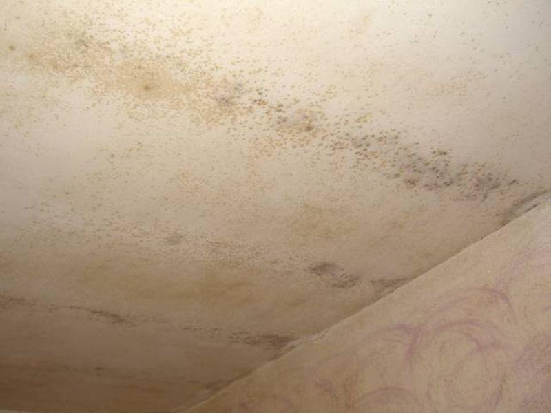 immobile appartamento all'asta in Località Lido dei Pini - Via del Biancospino, 114 Anzio (RM) - 5