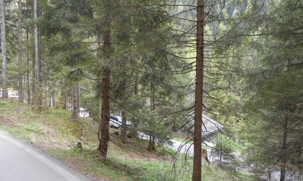 immobile terreno all'asta in LOCALITA' FONDI - 24050 Schilpario (BG) - 2