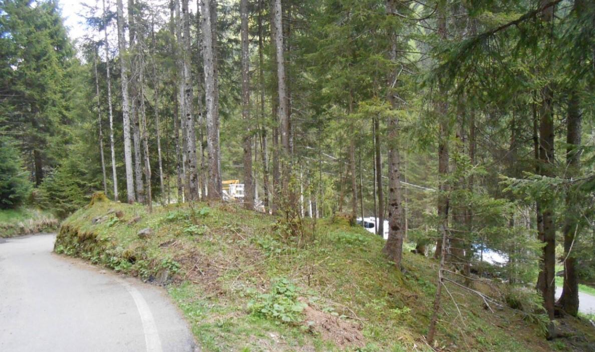 immobile terreno all'asta in LOCALITA' FONDI - 24050 Schilpario (BG) - 3