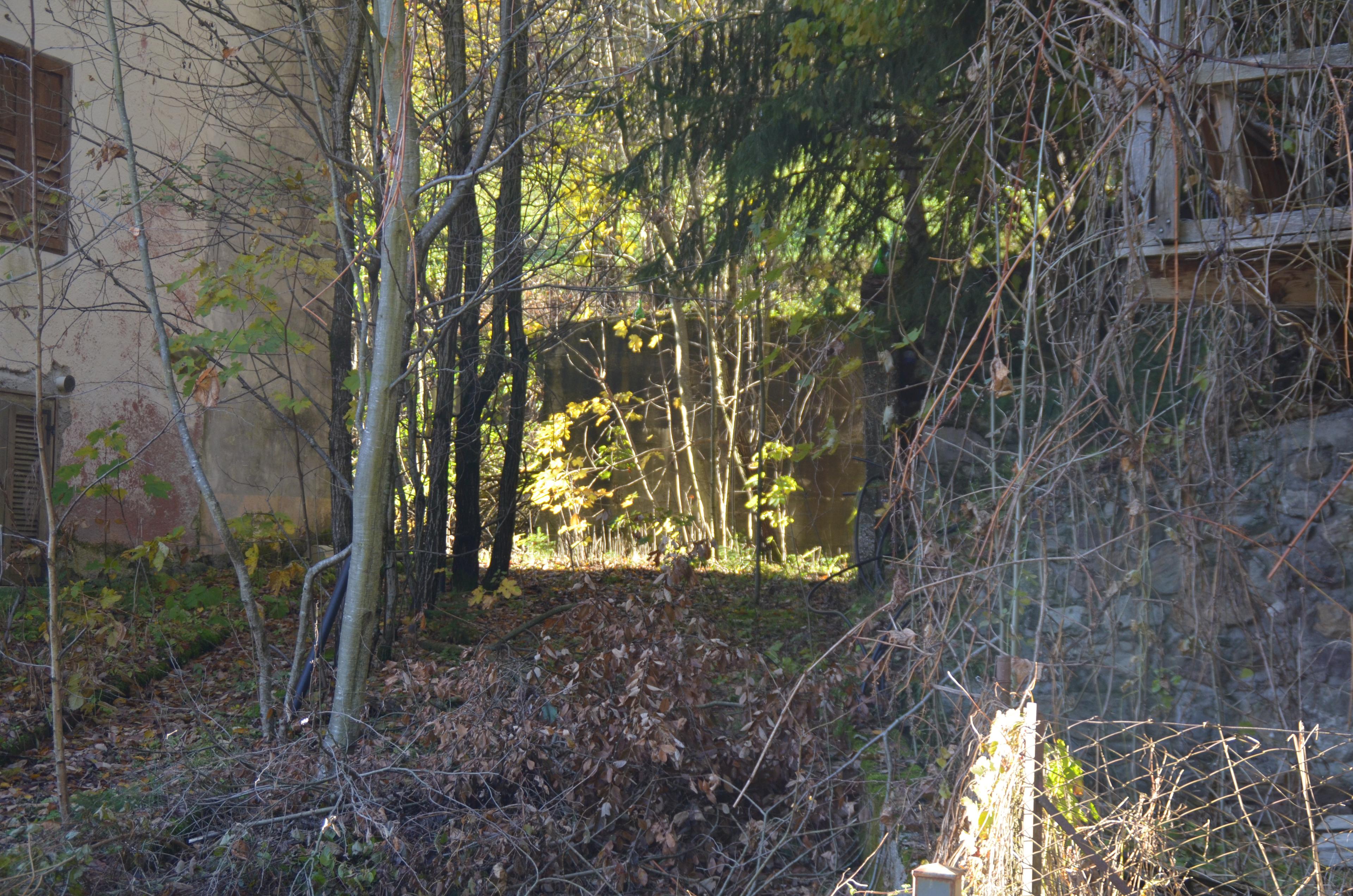 immobile appartamento all'asta in Località “Berni” di Prade - 38050 Canal San Bovo (TN) - 2