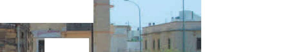 immobile terreno all'asta in Agro di SAN VITO DEI NORMANNI SNC - 72019 San Vito dei Normanni (BR) - 3