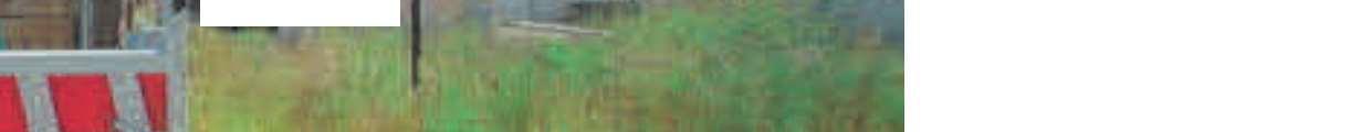 immobile terreno all'asta in Agro di SAN VITO DEI NORMANNI SNC - 72019 San Vito dei Normanni (BR) - 4
