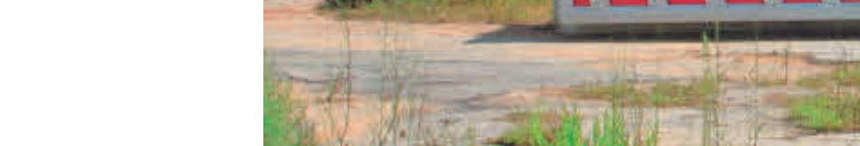 immobile terreno all'asta in Agro di SAN VITO DEI NORMANNI SNC - 72019 San Vito dei Normanni (BR) - 5