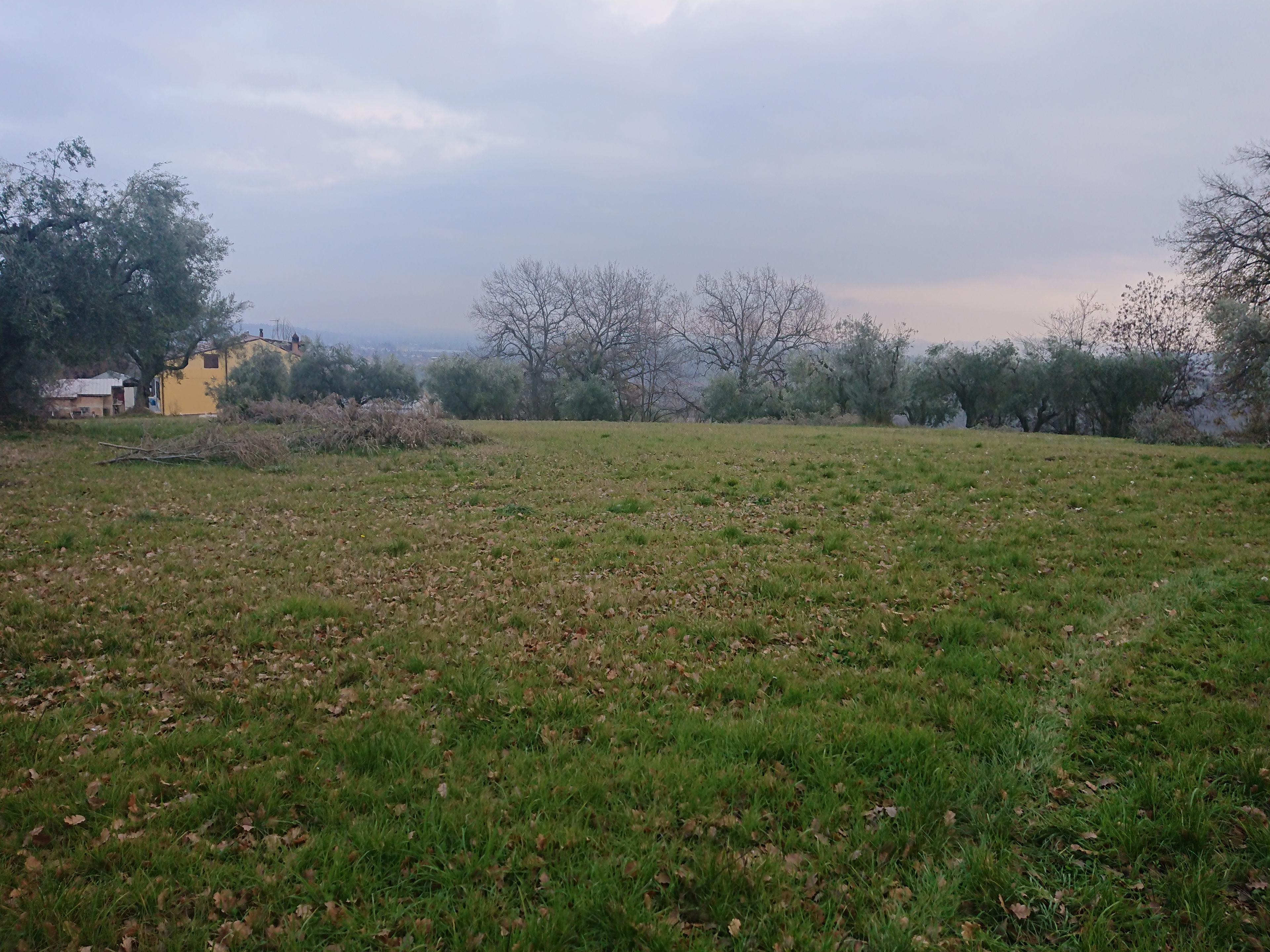 immobile terreno all'asta in Contrada Santa Reparata Civitella del Tronto (TE) - 1