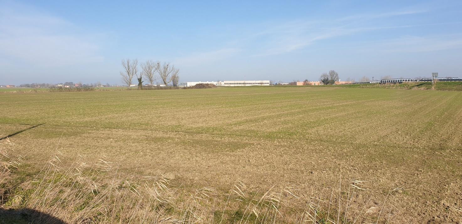 immobile terreno all'asta in località San Patrizio Conselice (RA) - 1