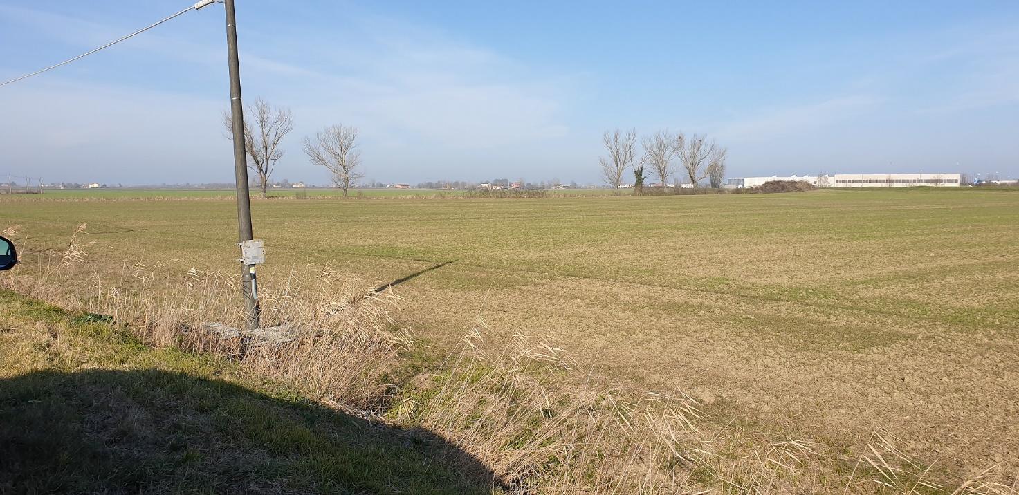 immobile terreno all'asta in località San Patrizio Conselice (RA) - 3