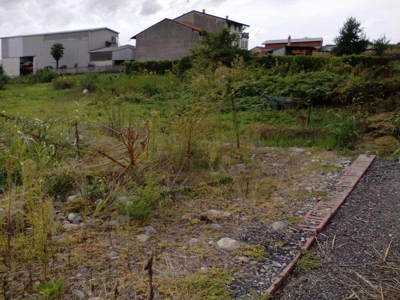 immobile terreno all'asta in sp16 - 28060 Recetto (NO) - 1