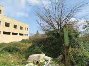 immobile magazzino all'asta in cda San Cusumano, zona IRSAP (ex ASI) - 96011 Augusta (SR) - 5