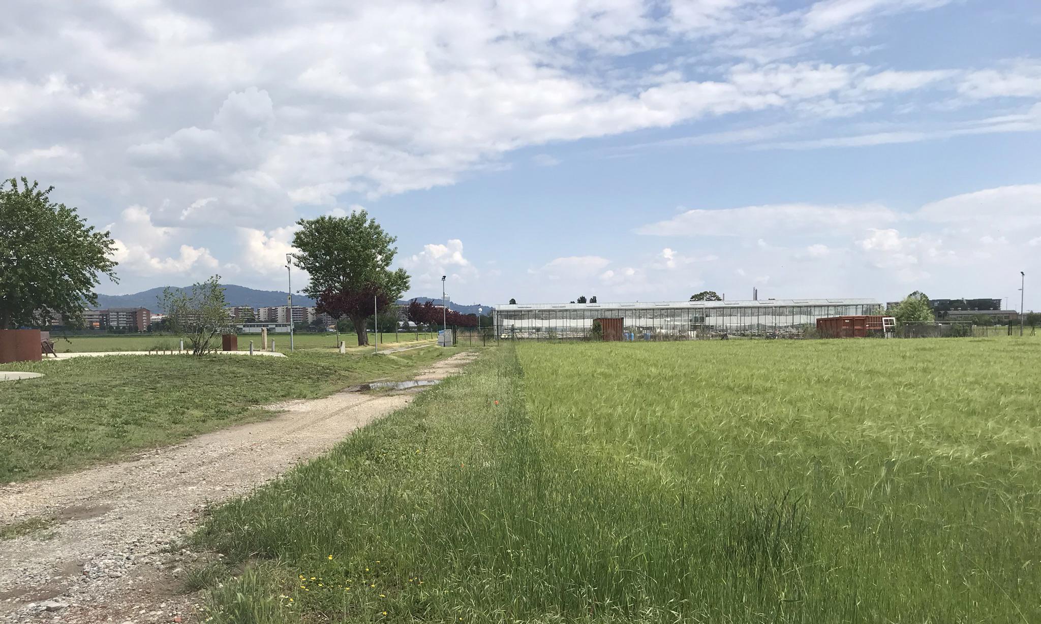 immobile attivita commerciale all'asta in Via UNITA' D'ITALIA 32 Grugliasco (TO) - 1