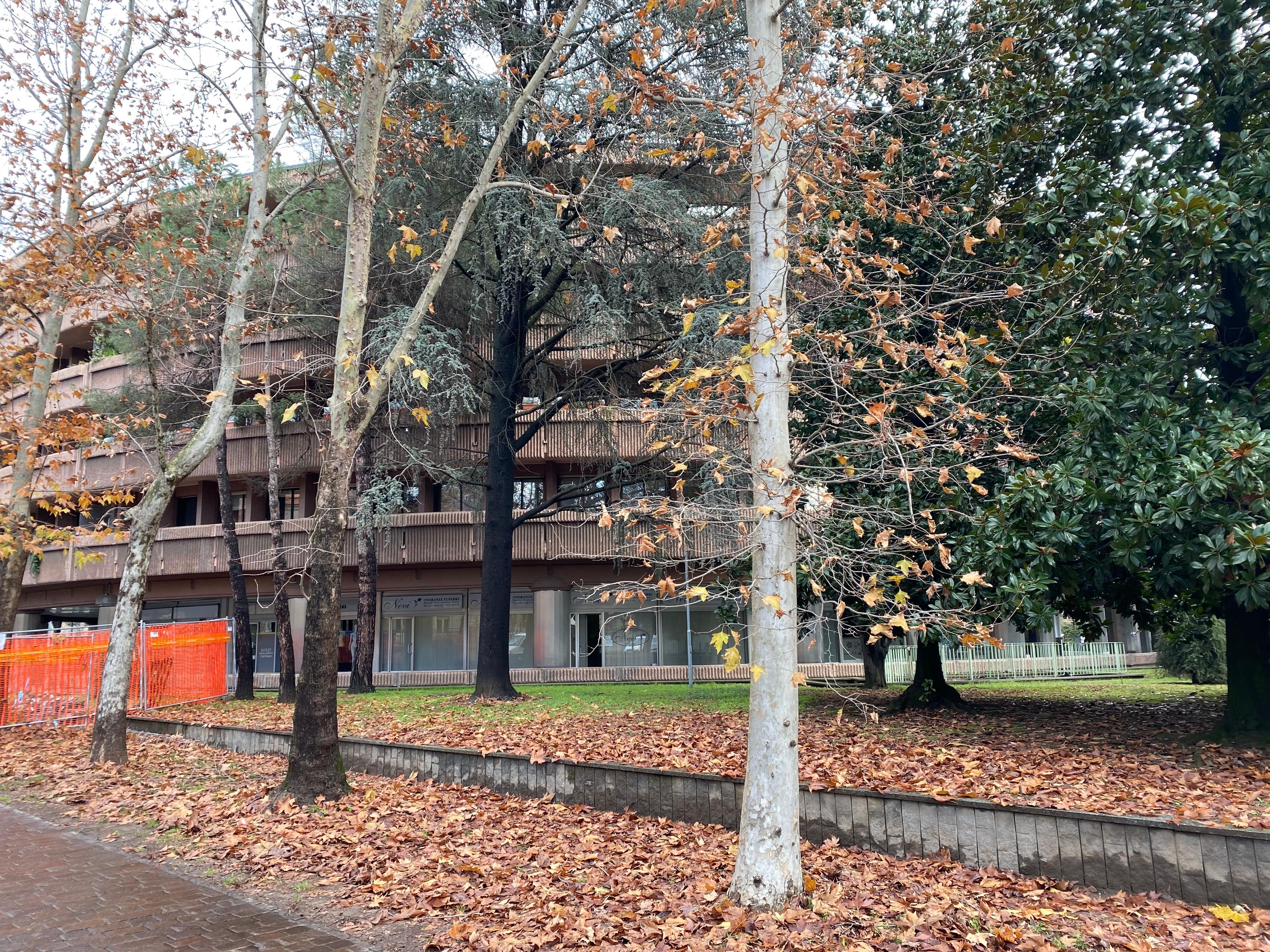 immobile attivita commerciale all'asta in Baluardo Massimo d’Azeglio n 7, angolo via Giuseppe Verdi Novara (NO) - 4