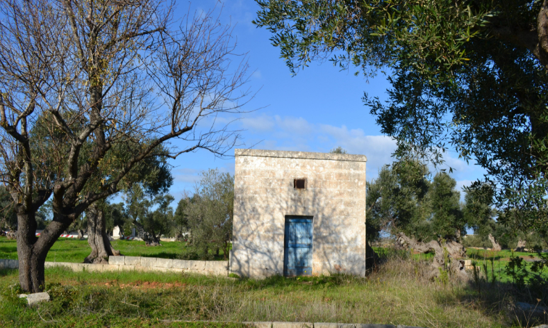 immobile terreno all'asta in Contrada Gravina, Rosa Marina sn - 72017 Ostuni (BR) - 3