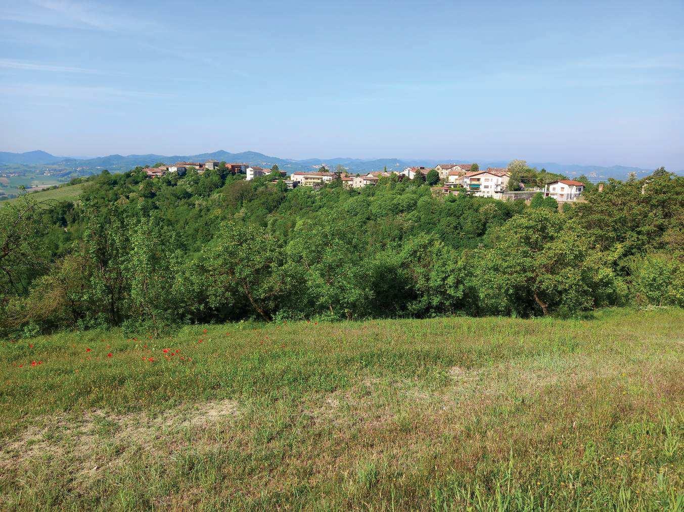 immobile terreno all'asta in NN - 15020 Gabiano (AL) - 1