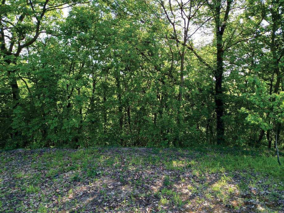 immobile terreno all'asta in NN - 15020 Gabiano (AL) - 4