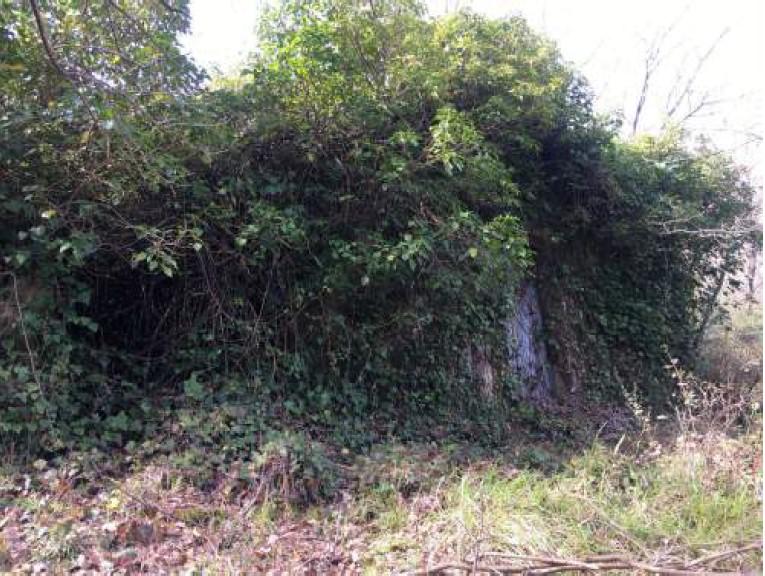 immobile rustico all'asta in Contrada Alfarana - 98070 Reitano (ME) - 2