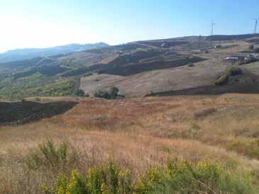 immobile terreno all'asta in Contrada Varnavea - 86040 Pietracatella (CB) - 1