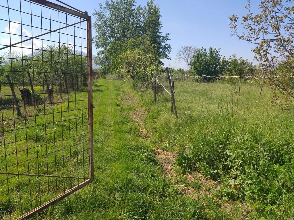 immobile terreno all'asta in sp 442 località 40 moggi - 80031 Brusciano (NA) - 4
