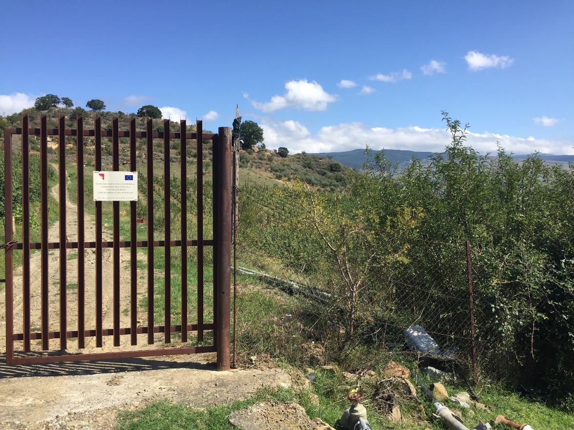 immobile terreno all'asta in Cda Bolo - Basilotta - 98033 Cesarò (ME) - 1